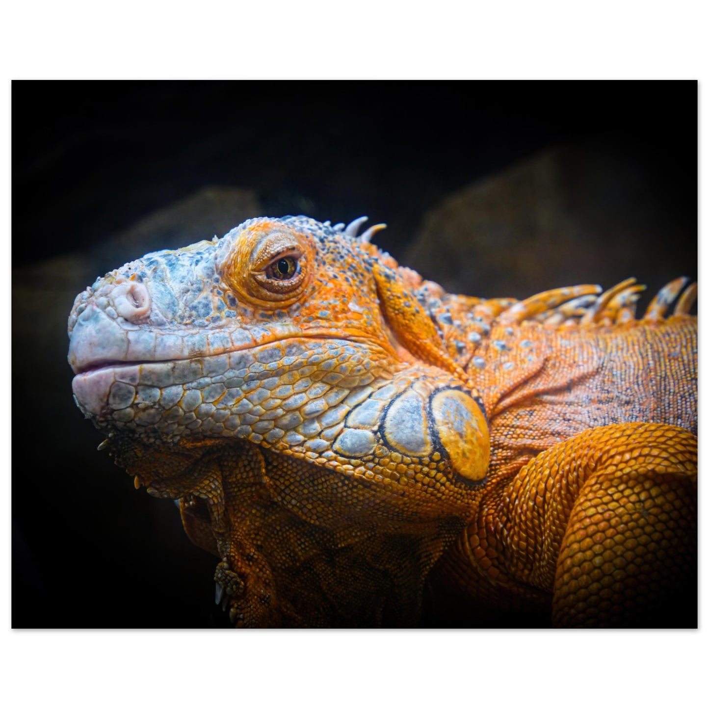 9356c222-d723-4ff1-addb-24f02624163f