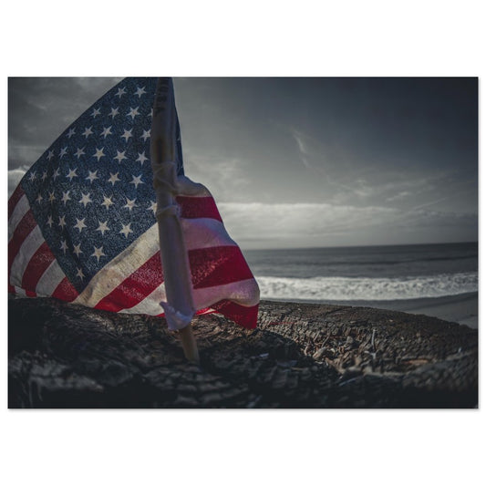 c233736a-9fec-4dc7-b47f-a17a6f2897a3